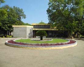 Our Senior School