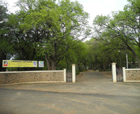 Our Senior School